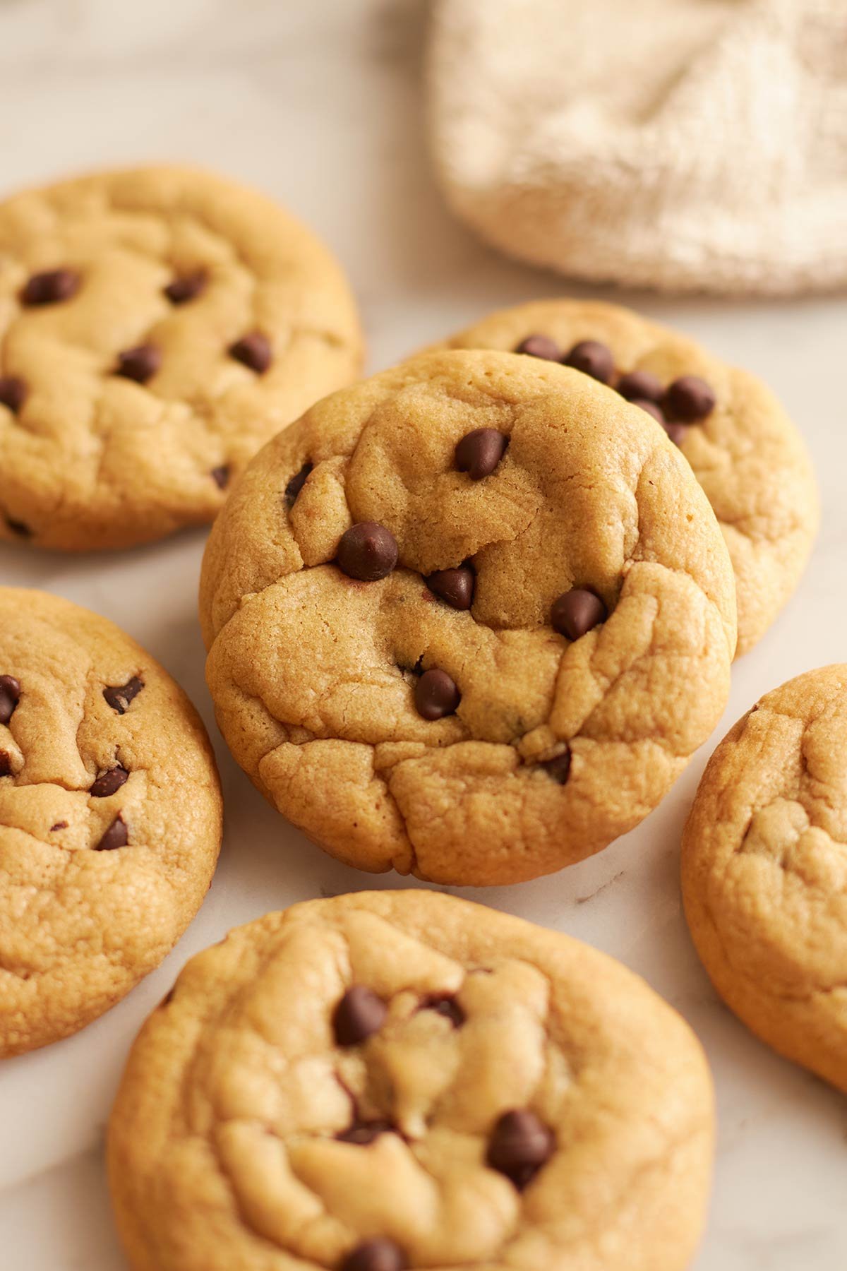 chocolate chip cookies