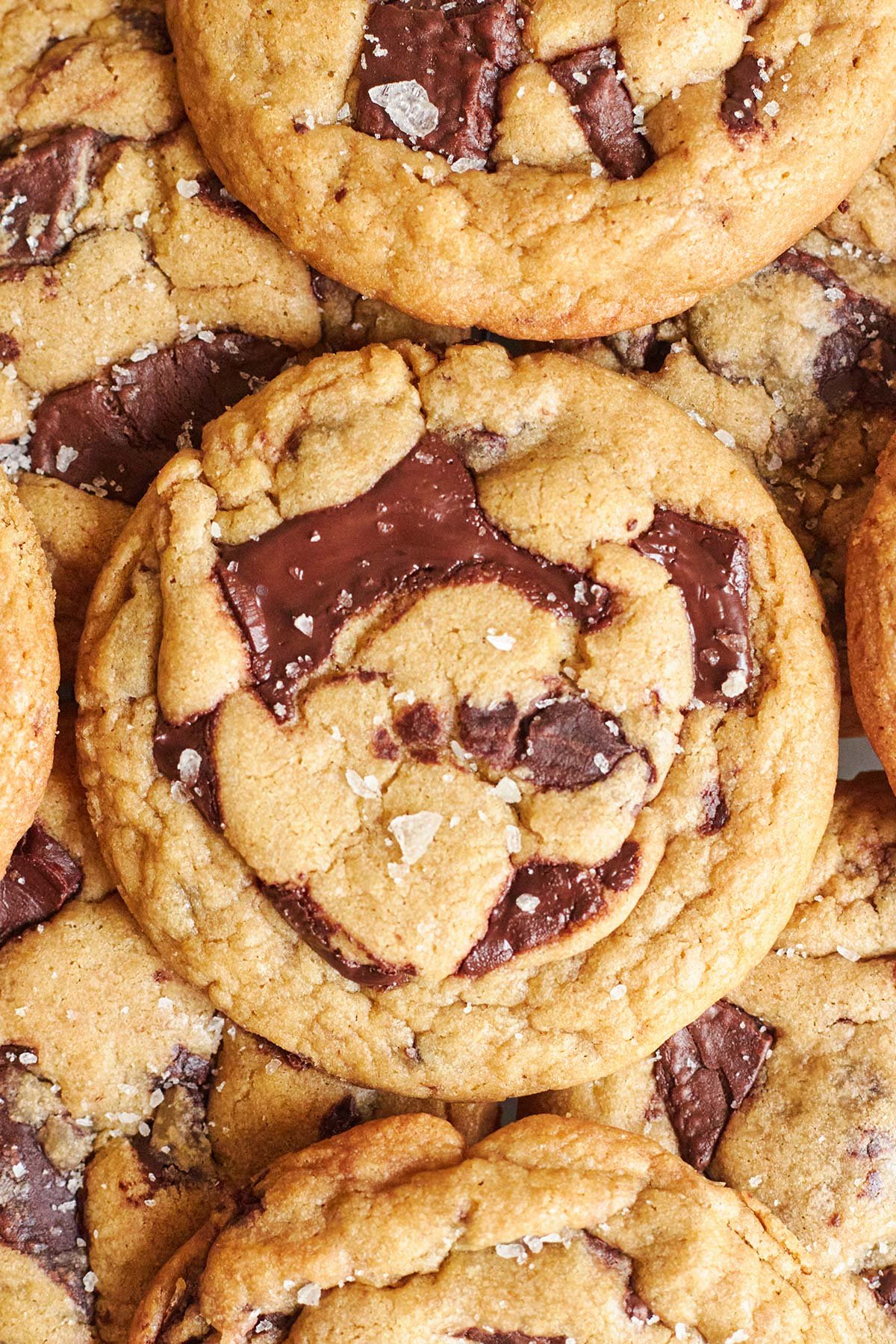 Bakery Style Chocolate Chip Cookies