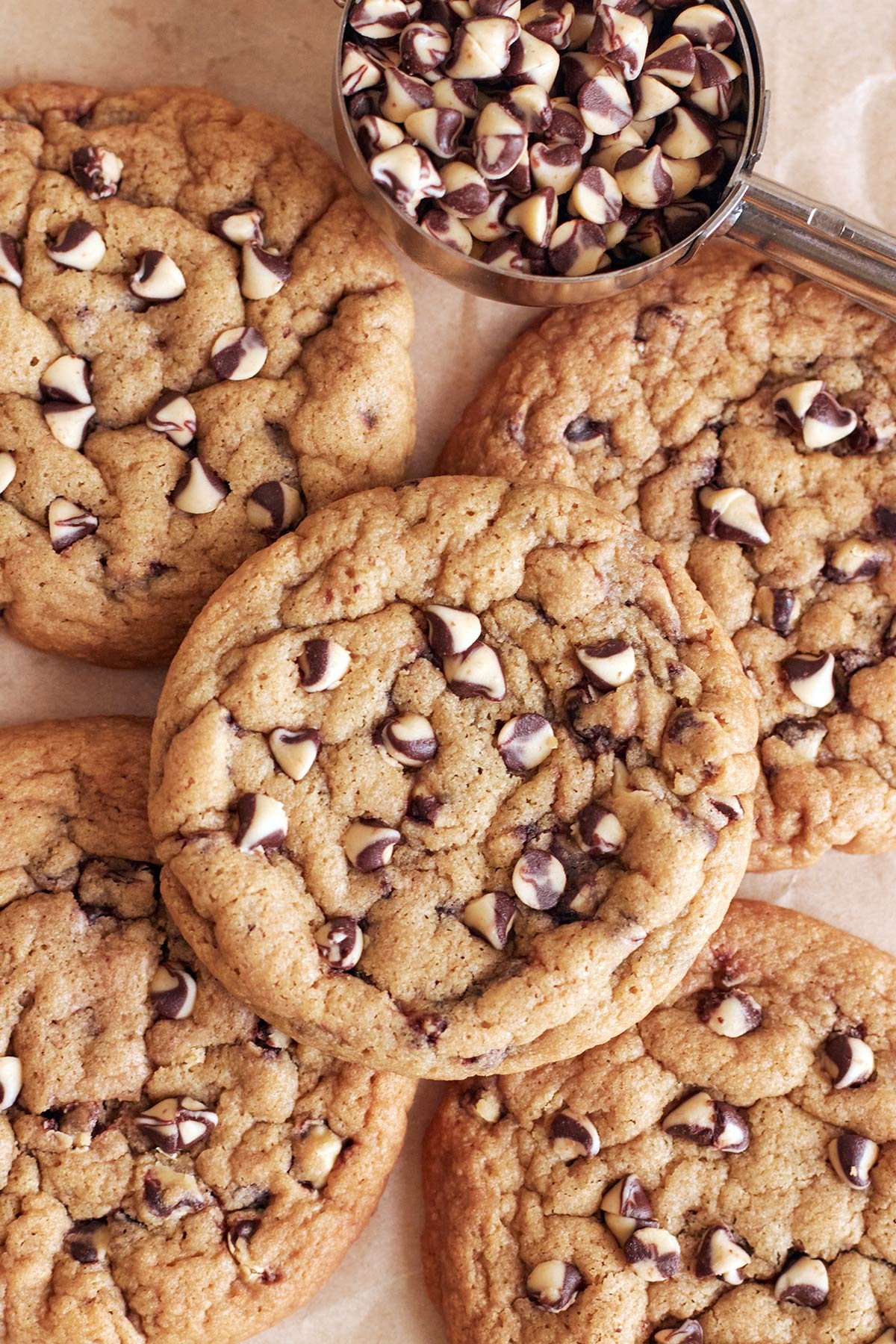 Twin Chocolate Chip Cookies