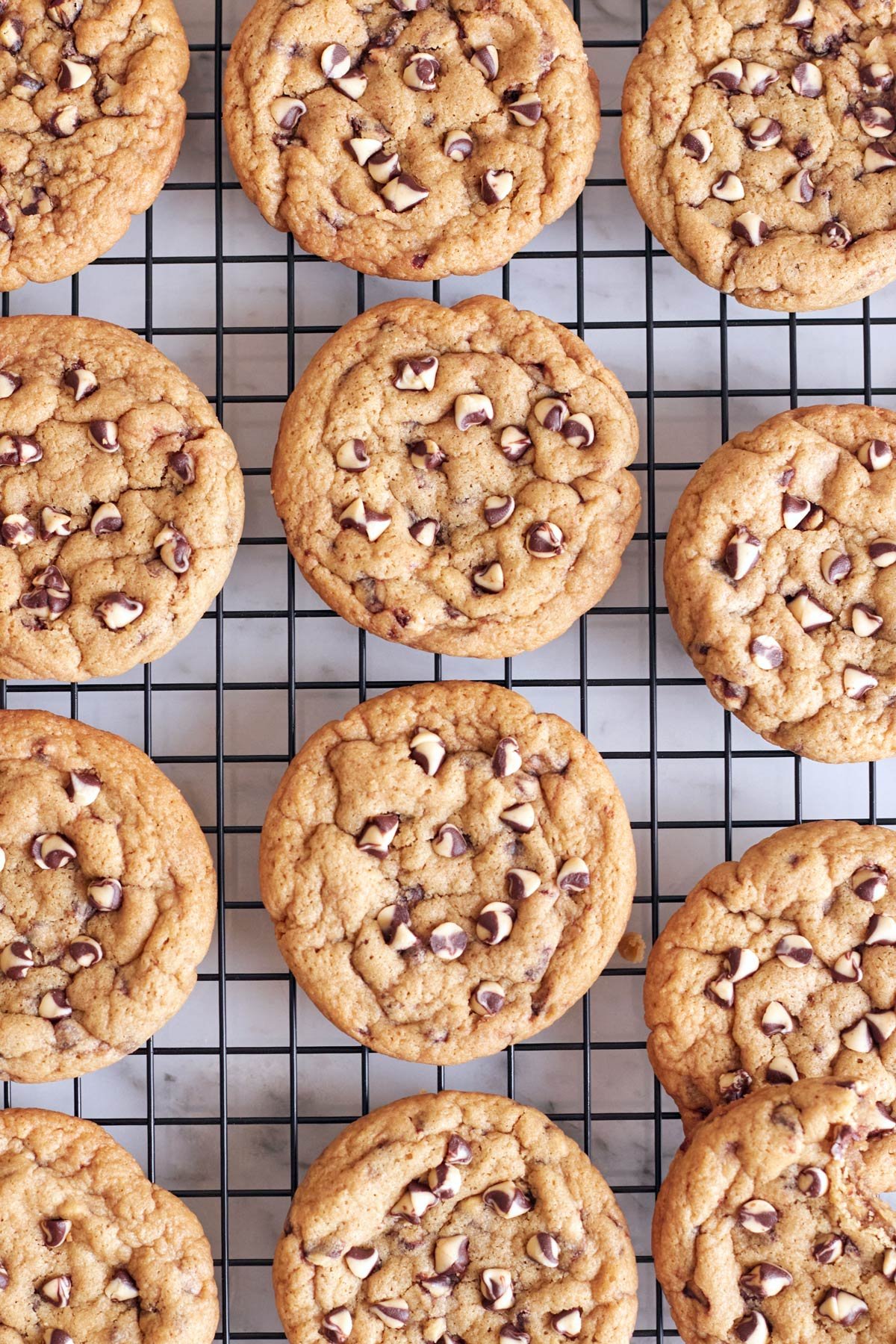 twin chocolate chip cookies