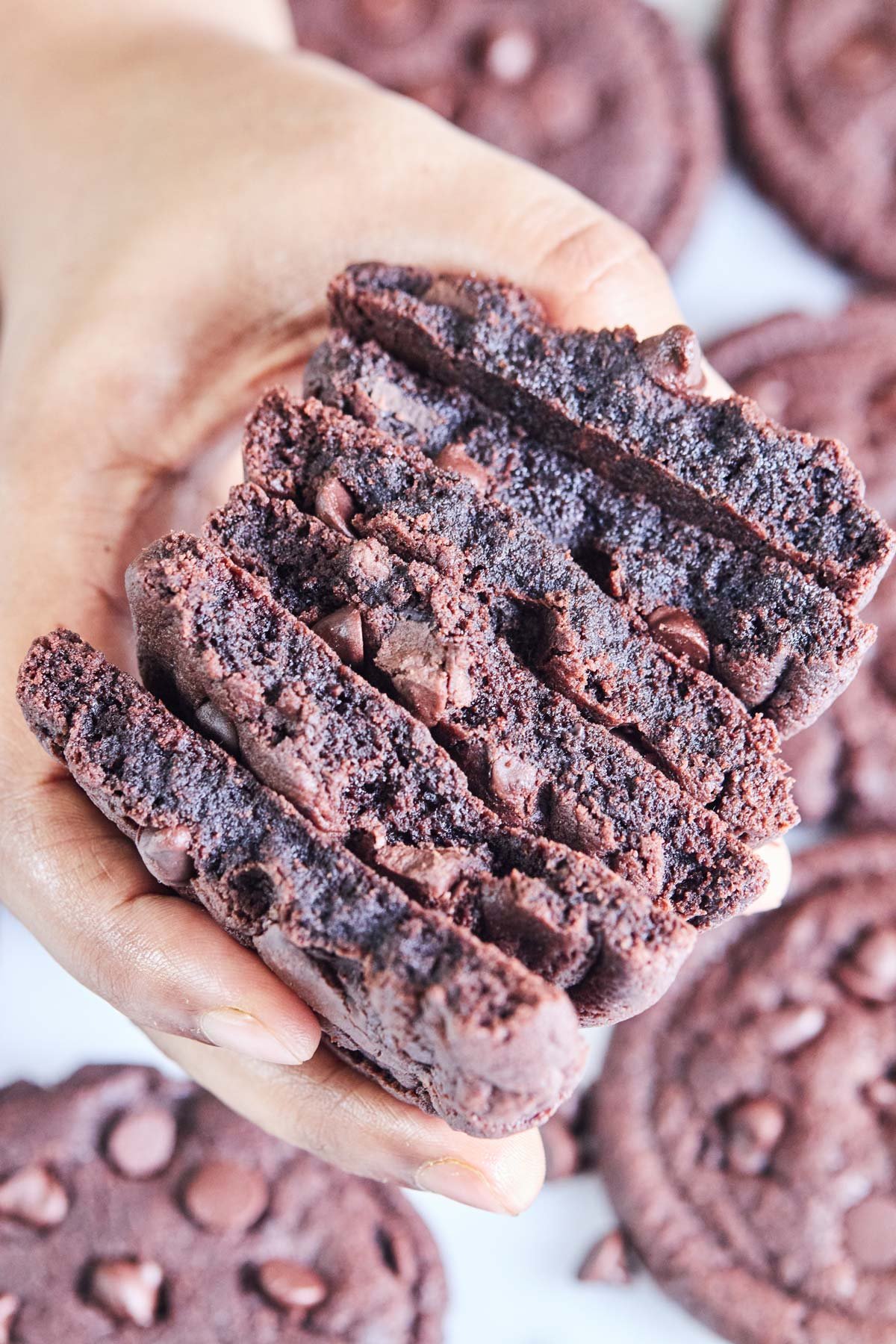 Double Chocolate Chip Cookies