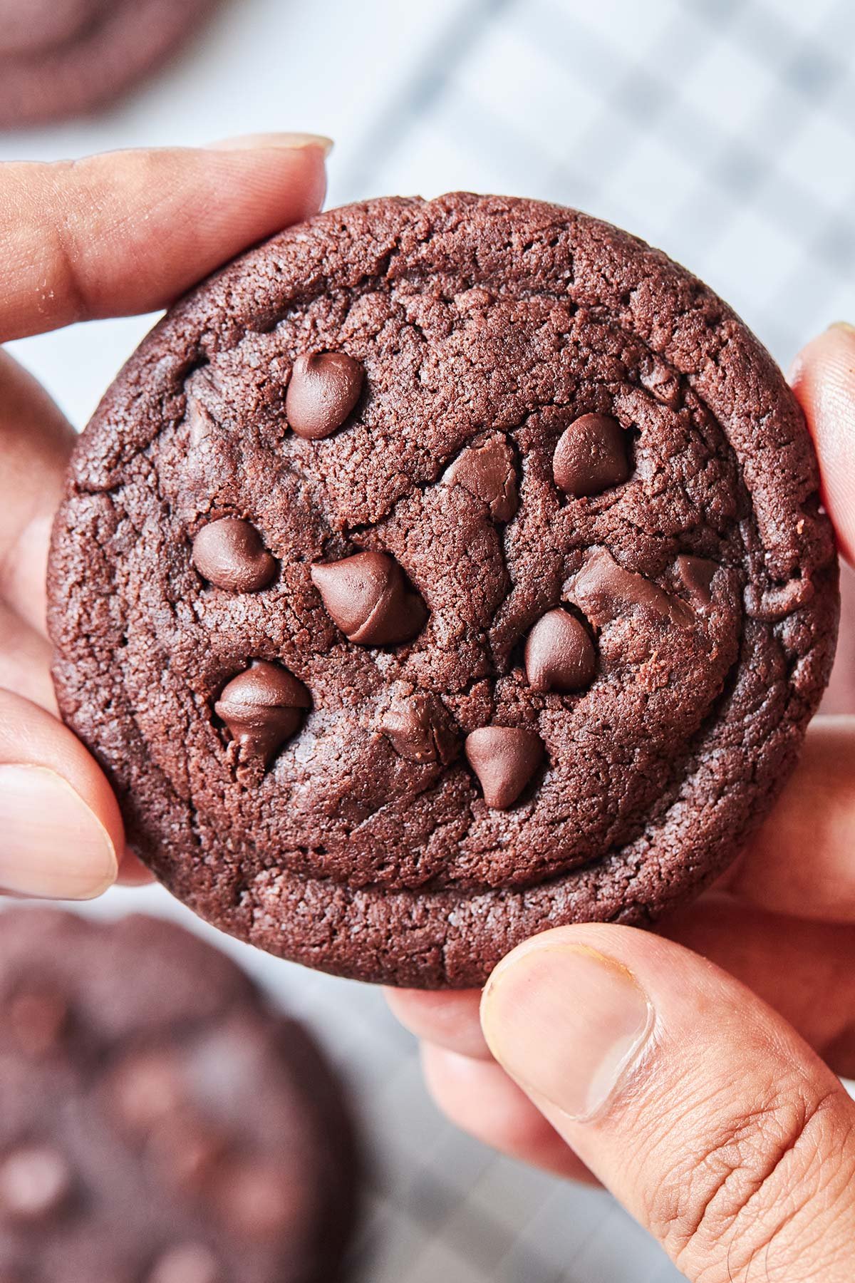 Double Chocolate Chip Cookies