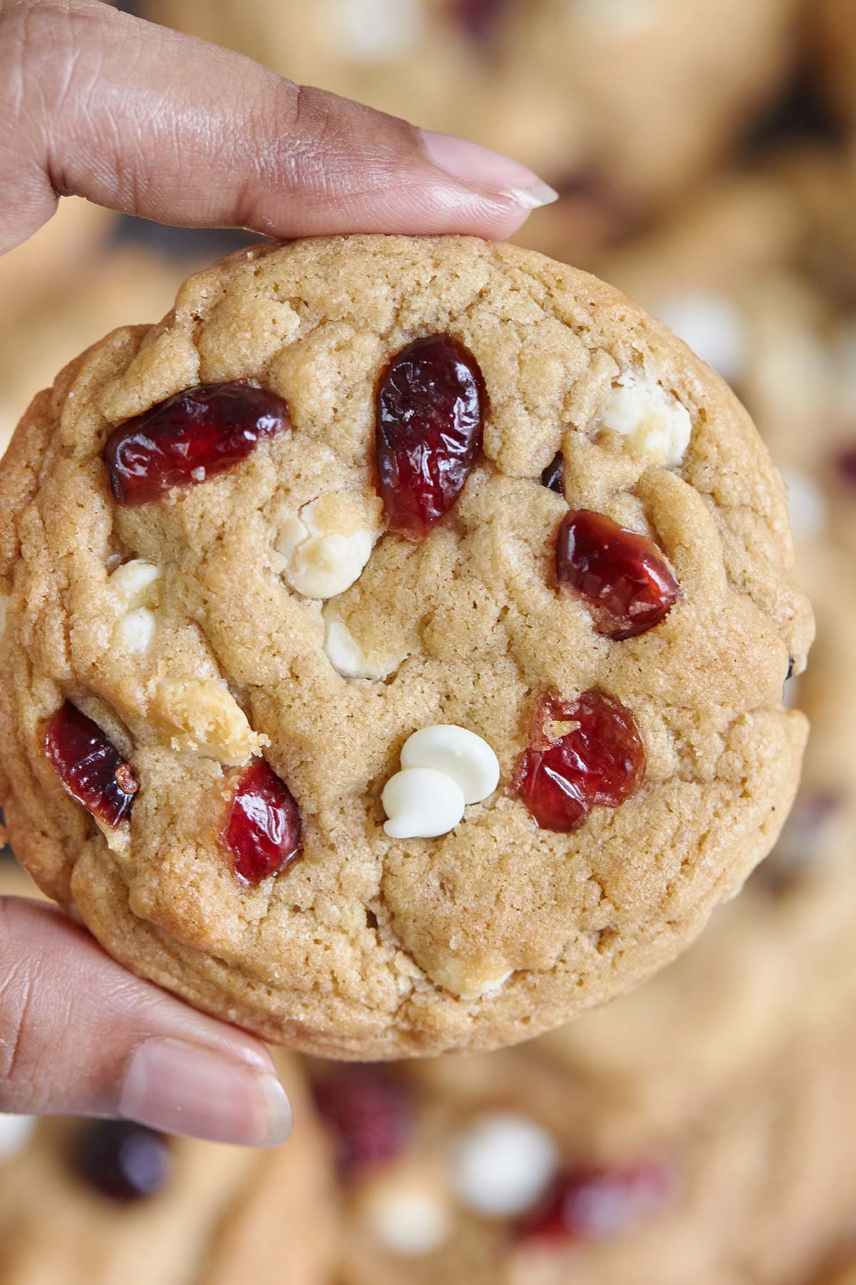 White Chocolate Cranberry Cookies
