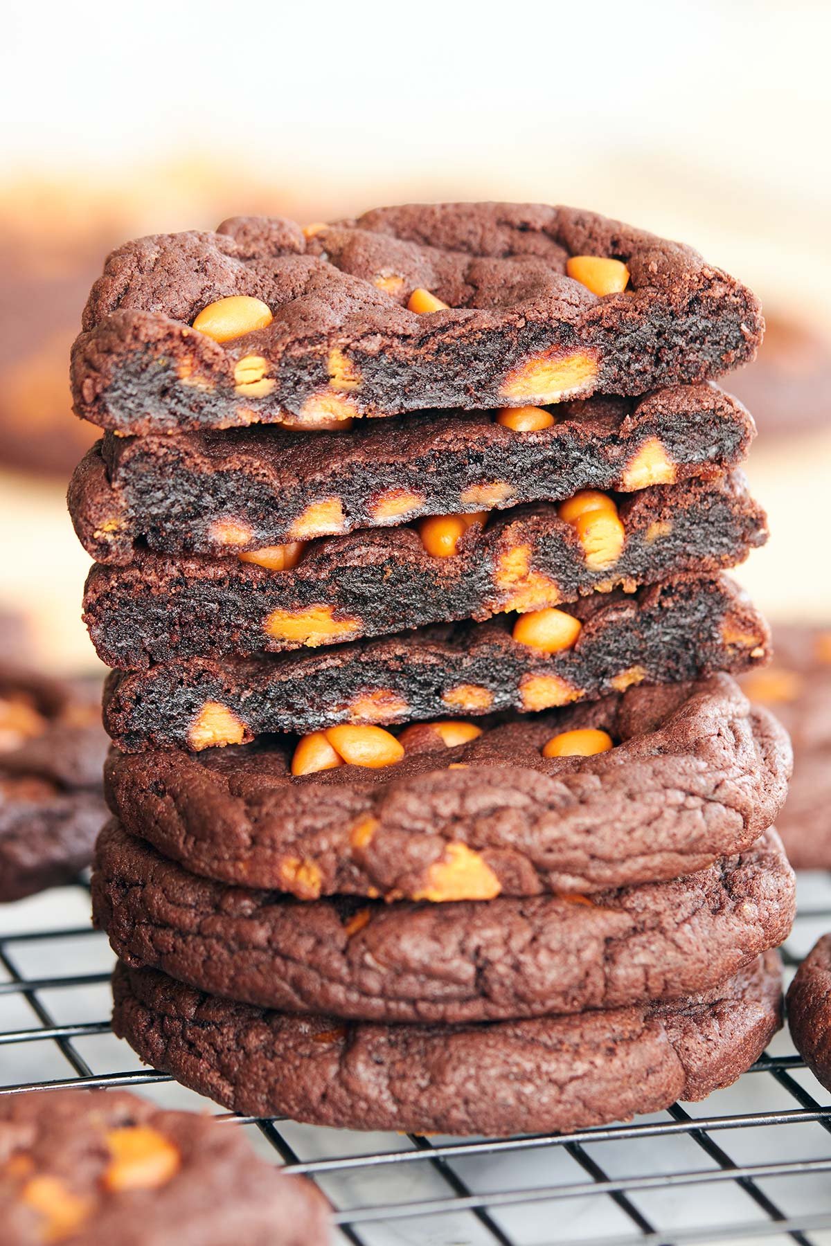 Butterscotch Chip Cookies