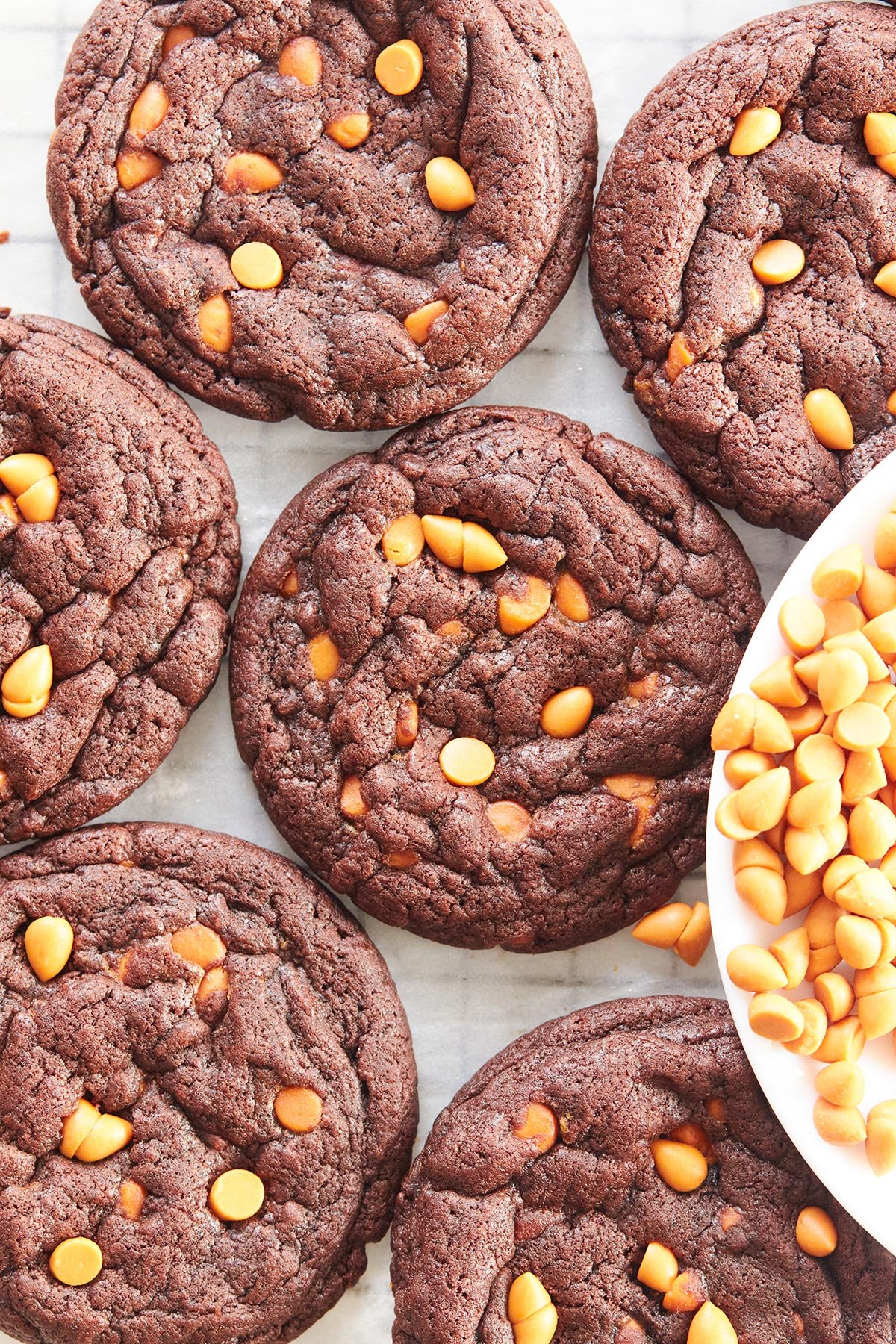 Butterscotch Chip Cookies