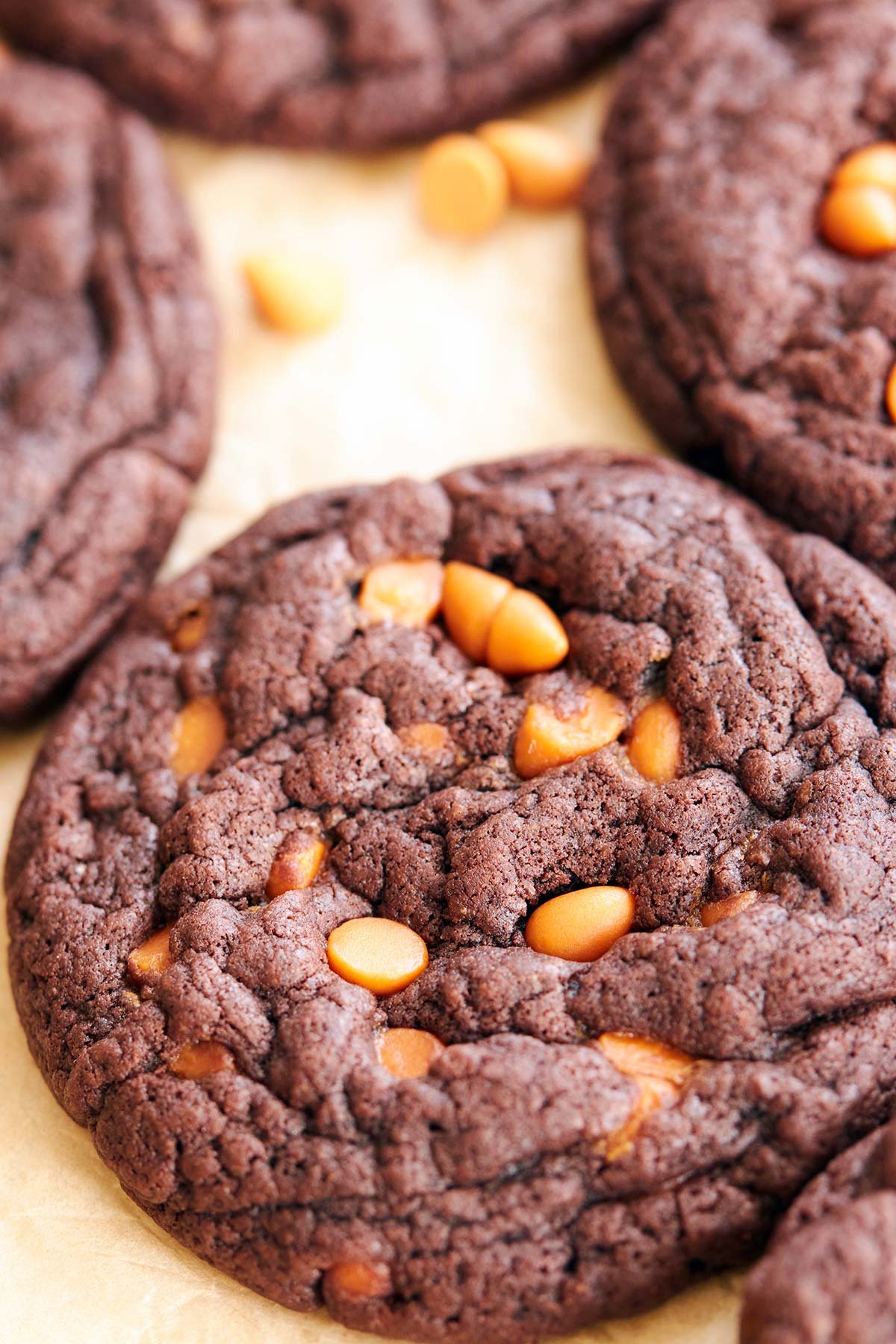 Butterscotch Chip Cookies