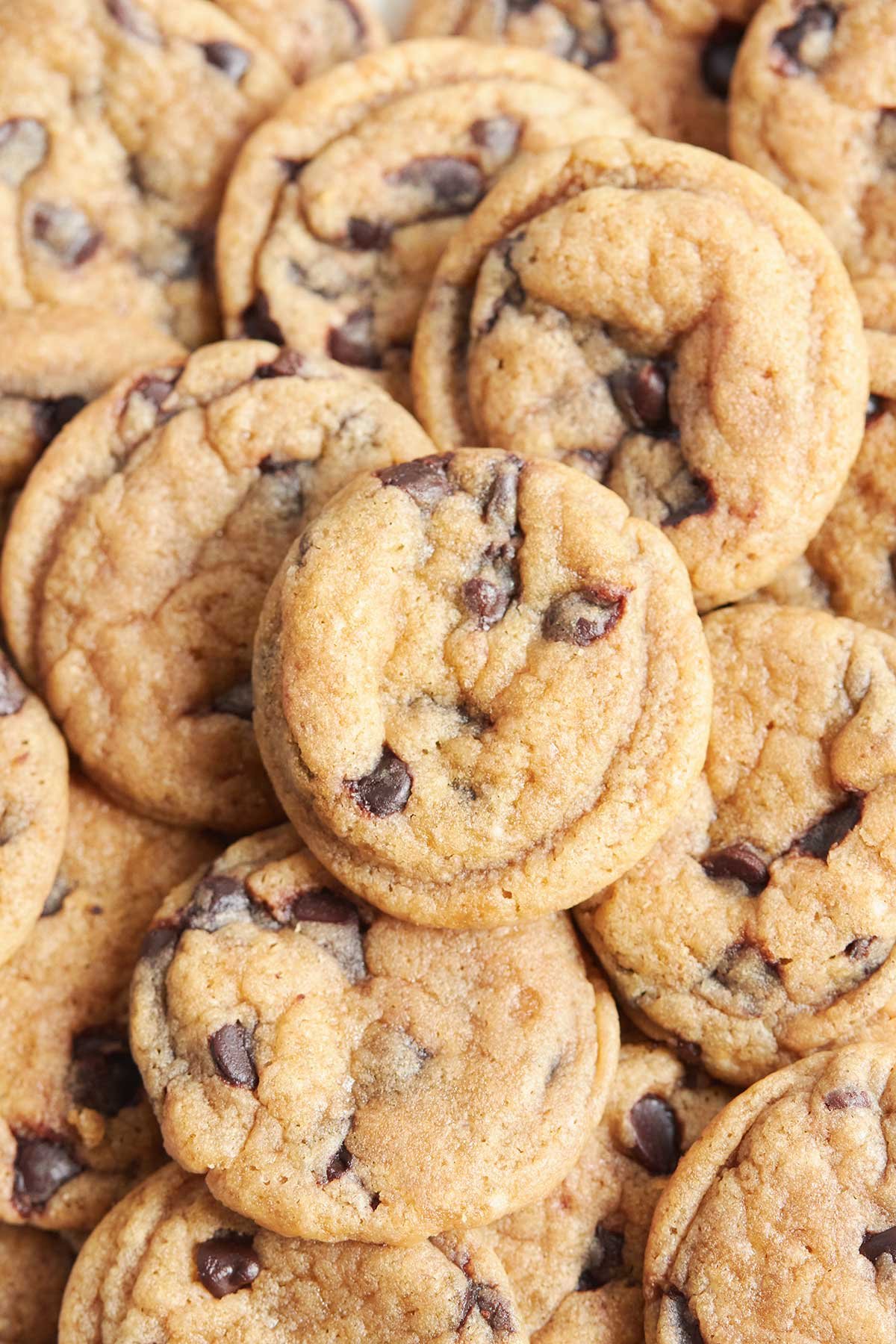 Small Chocolate Chip Cookies