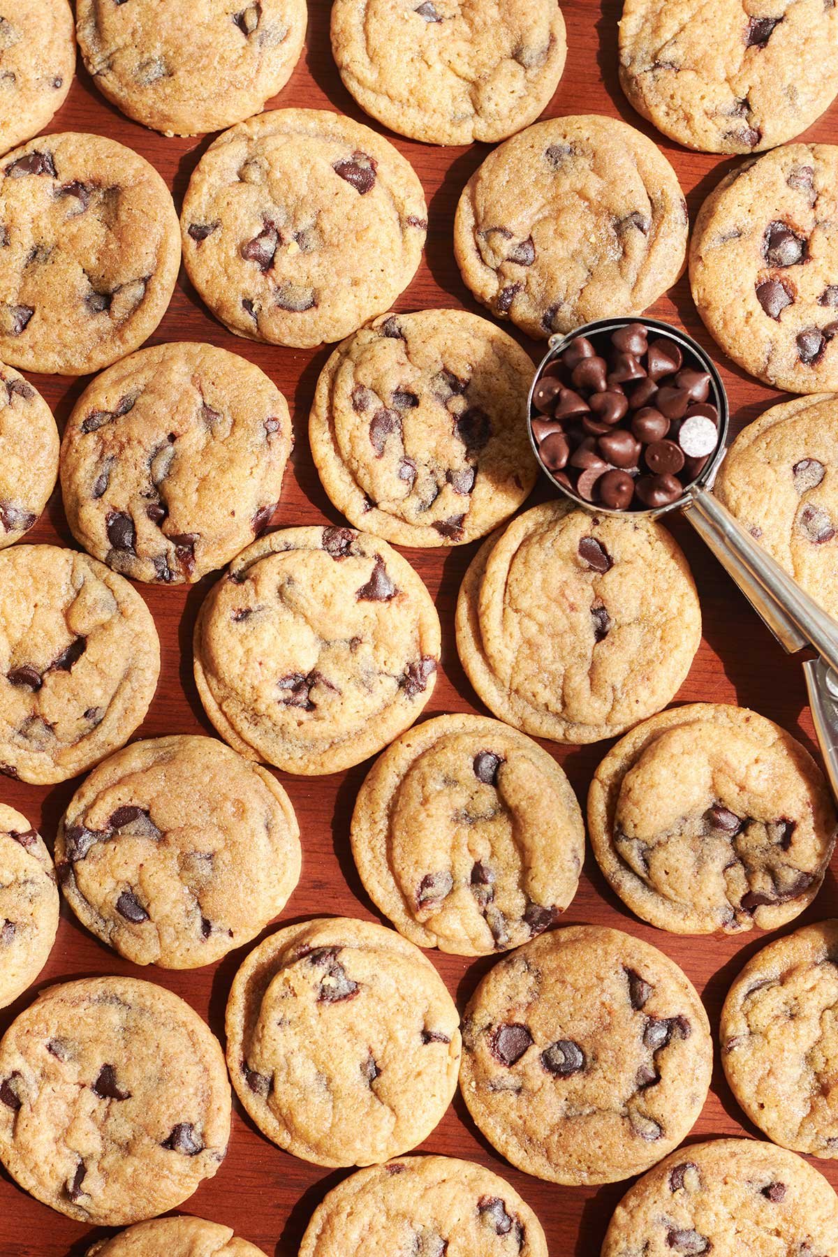 Small Chocolate Chip Cookies